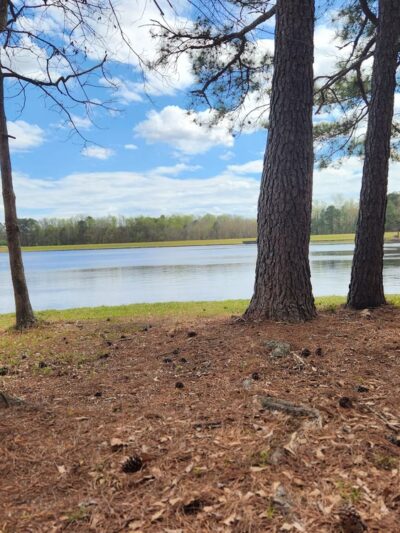 Cabin Lake County Park - Pink Hill, NC