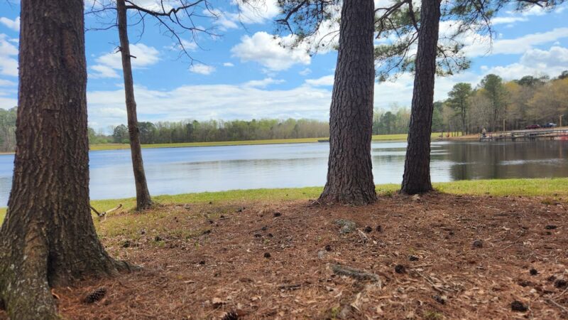 Cabin Lake County Park - Pink Hill, NC