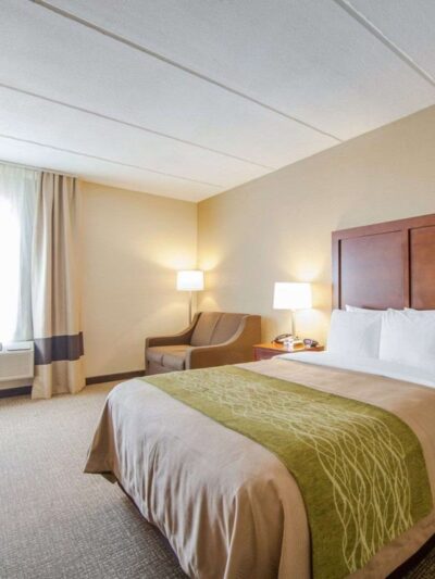 Comfort Inn at Royal Blue - Pioneer, TN