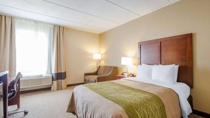 Comfort Inn at Royal Blue - Pioneer, TN