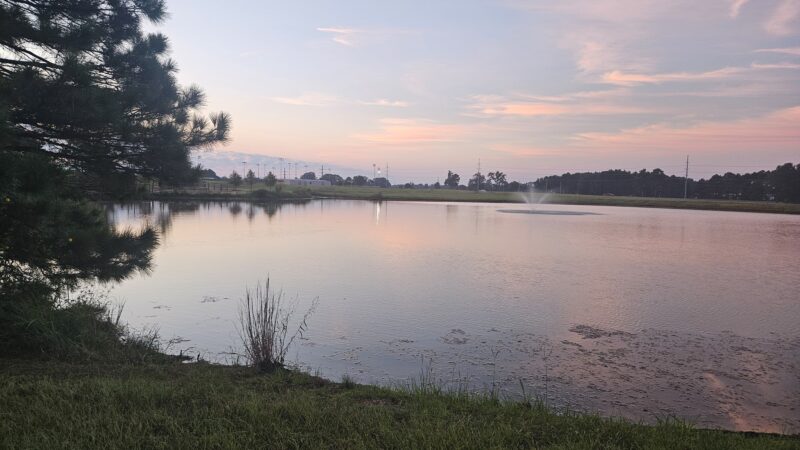 Broach Park - Pittsburg, TX
