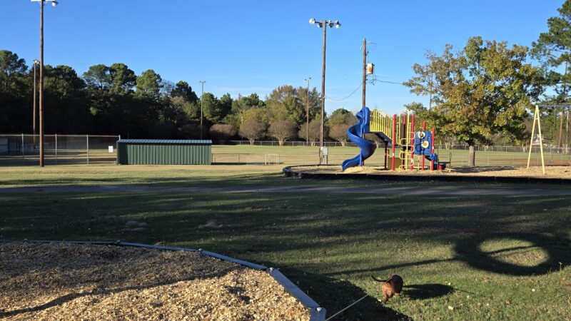 Julius Moore Park - Pittsburg, TX
