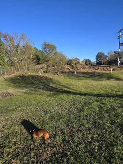 Julius Moore Park - Pittsburg, TX