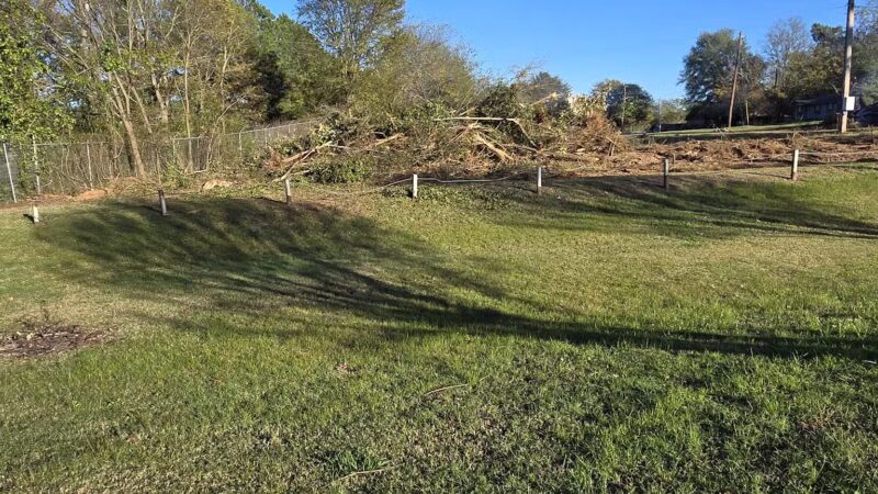 Julius Moore Park - Pittsburg, TX