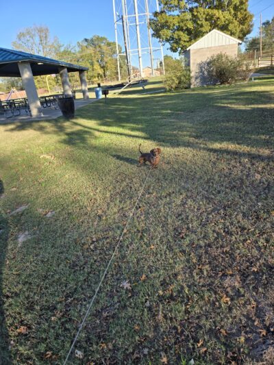 Julius Moore Park - Pittsburg, TX