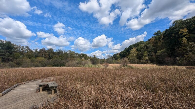 Wingfield Pines - Pittsburgh, PA