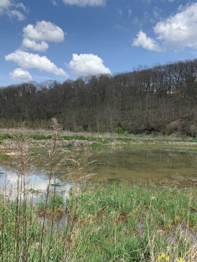 Wingfield Pines - Pittsburgh, PA