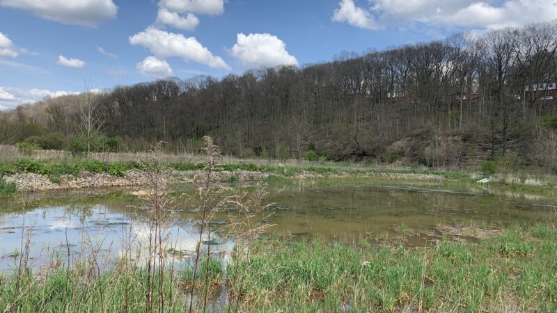 Wingfield Pines - Pittsburgh, PA