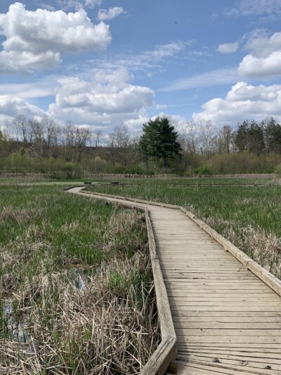 Wingfield Pines - Pittsburgh, PA