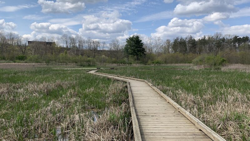 Wingfield Pines - Pittsburgh, PA