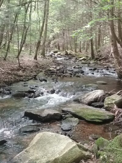 Kirvin Park - Pittsfield, MA