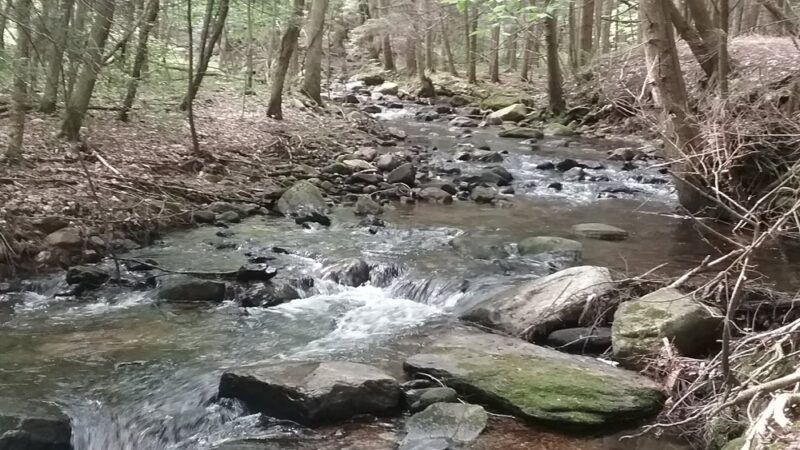 Kirvin Park - Pittsfield, MA