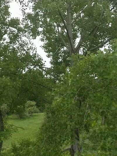 Kirvin Park - Pittsfield, MA