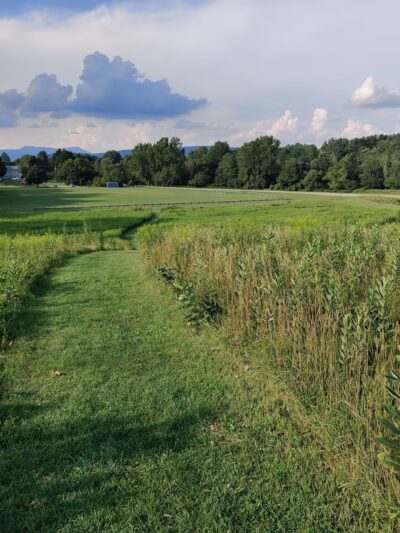 Kirvin Park - Pittsfield, MA