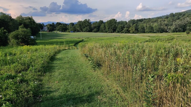 Kirvin Park - Pittsfield, MA