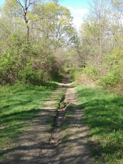 Kirvin Park - Pittsfield, MA