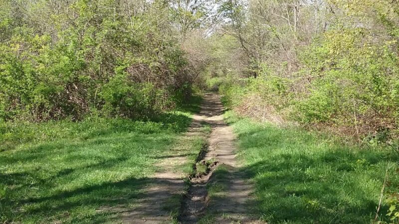 Kirvin Park - Pittsfield, MA