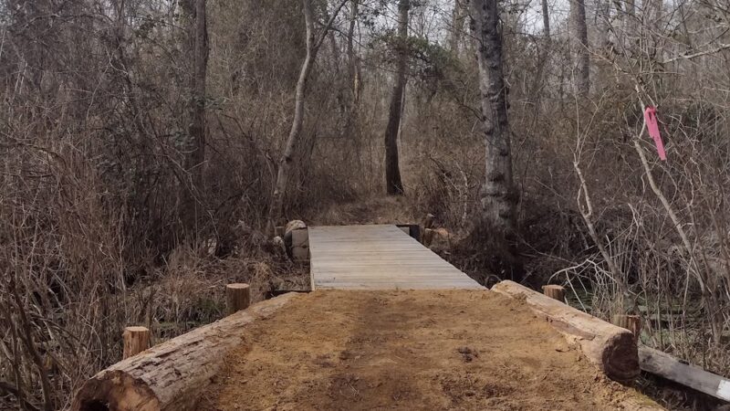 Parvin Park Trail Access - Pittsgrove, NJ