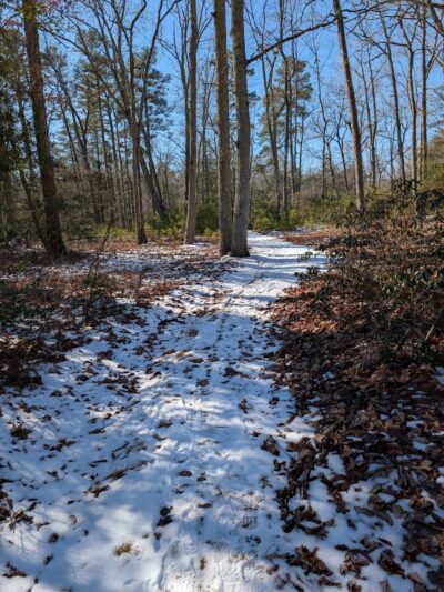 Parvin Park Trail Access - Pittsgrove, NJ