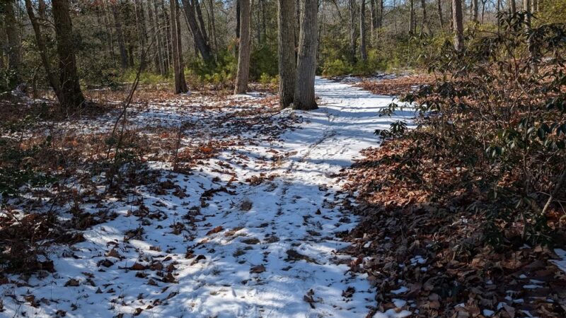 Parvin Park Trail Access - Pittsgrove, NJ