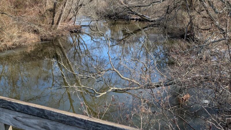 Parvin Park Trail Access - Pittsgrove, NJ