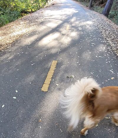 El Dorado Trail Parking - Placerville, CA