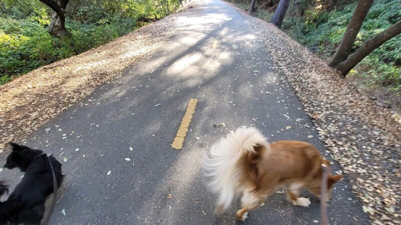 El Dorado Trail Parking - Placerville, CA