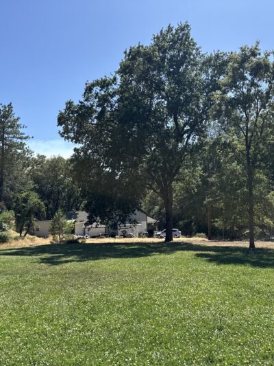 George F. Duffey Park - Placerville, CA