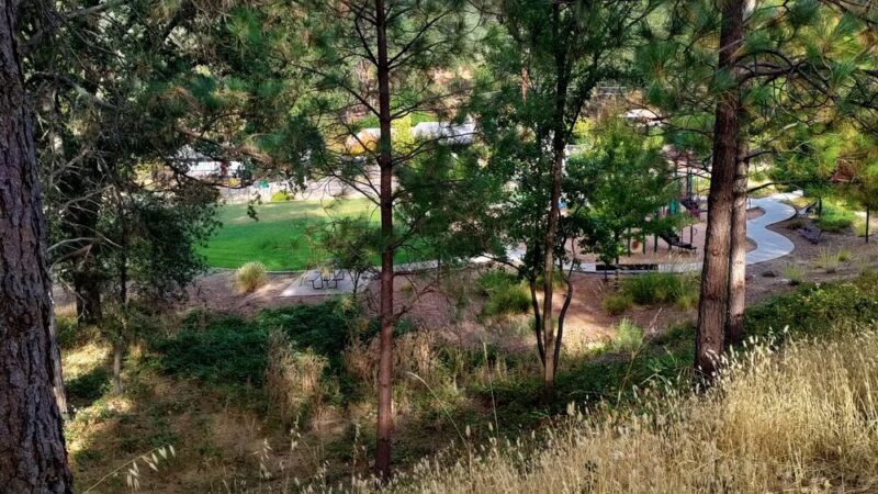 George F. Duffey Park - Placerville, CA