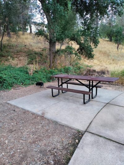 George F. Duffey Park - Placerville, CA