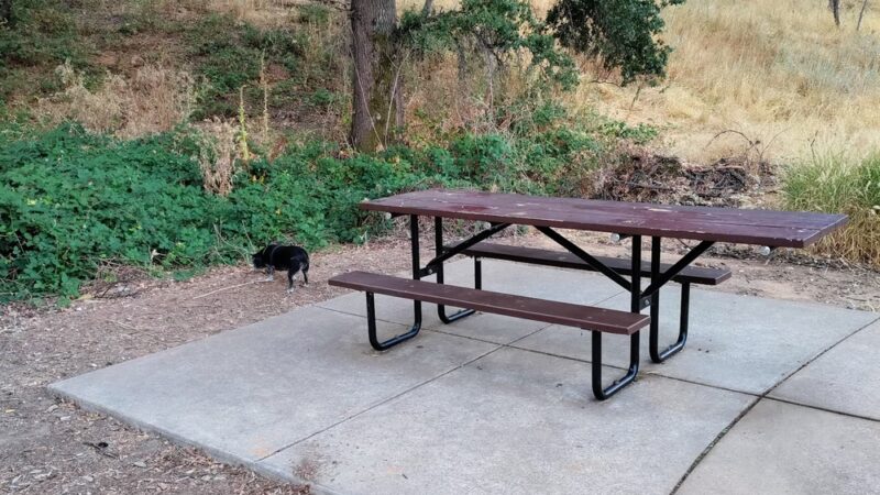 George F. Duffey Park - Placerville, CA