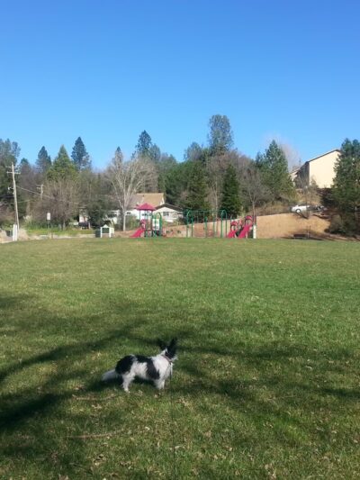 George F. Duffey Park - Placerville, CA
