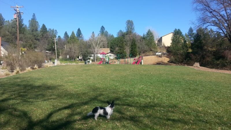George F. Duffey Park - Placerville, CA