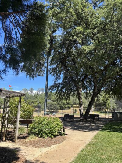 Lions Park - Placerville, CA