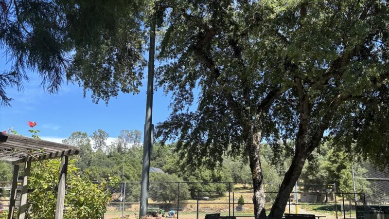 Lions Park - Placerville, CA