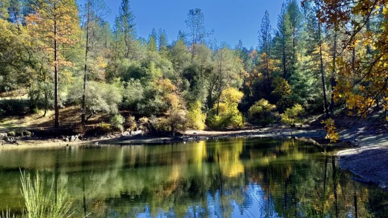 Lumsden Park - Placerville, CA