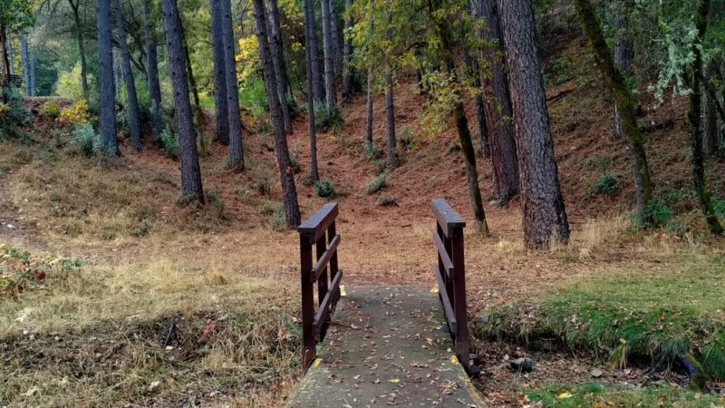 Lumsden Park - Placerville, CA