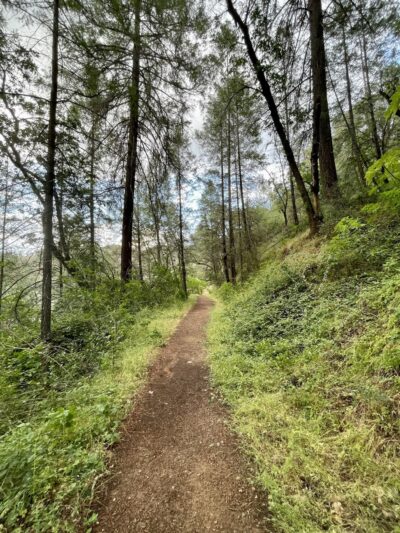 Red Shack Trailhead - Placerville, CA