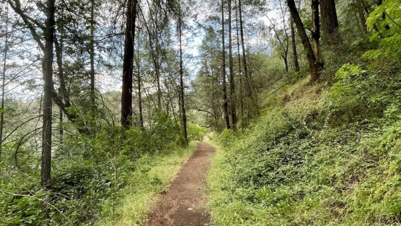 Red Shack Trailhead - Placerville, CA