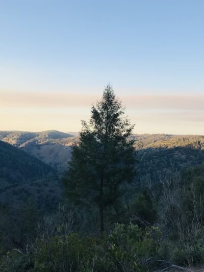Red Shack Trailhead - Placerville, CA