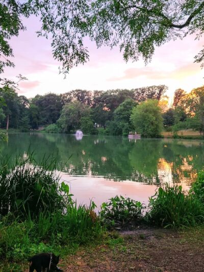 Cedar Brook Park - Plainfield, NJ