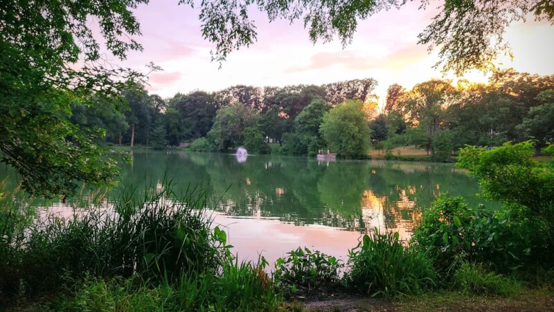 Cedar Brook Park - Plainfield, NJ