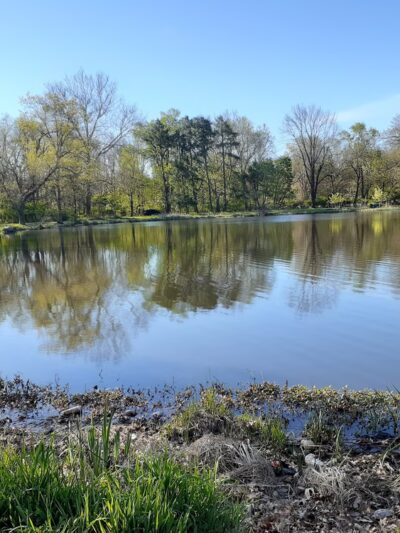 Cedar Brook Park - Plainfield, NJ