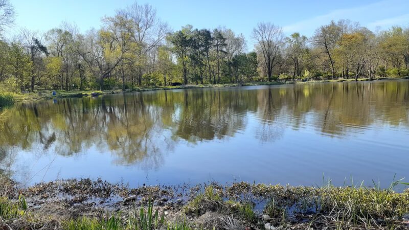 Cedar Brook Park - Plainfield, NJ