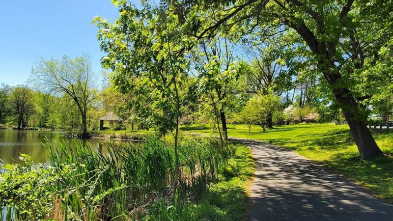 Cedar Brook Park - Plainfield, NJ