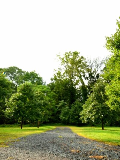 Green Brook Park - Plainfield, NJ