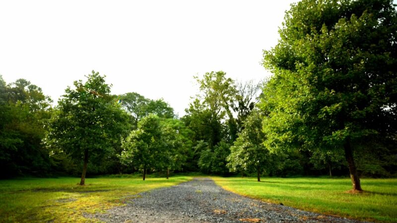 Green Brook Park - Plainfield, NJ