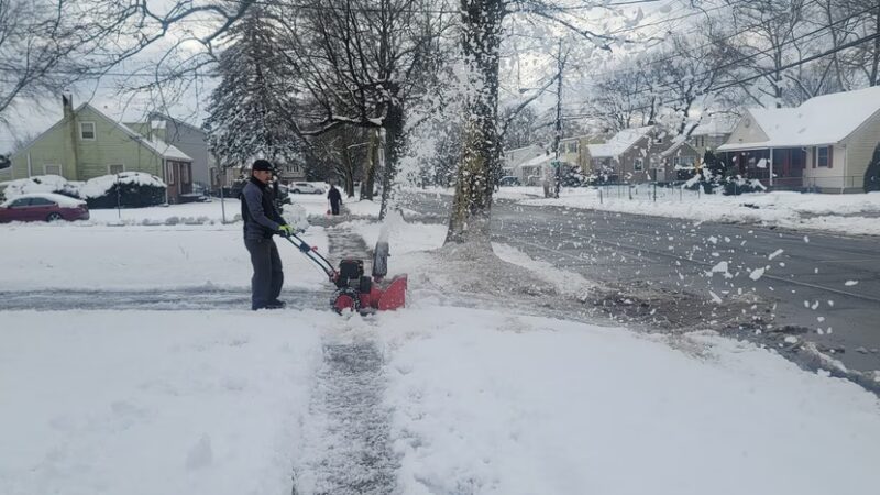 Parque - Plainfield, NJ