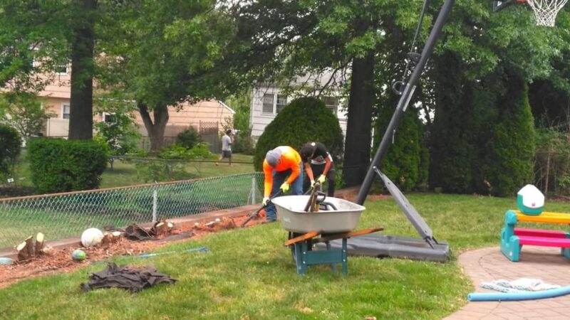 Parque - Plainfield, NJ