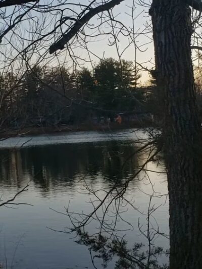 Paderewski Park - Plainville, CT